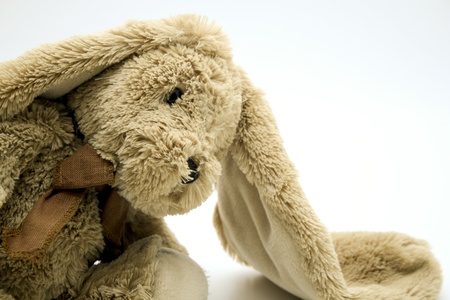 Plush rabbitの写真素材