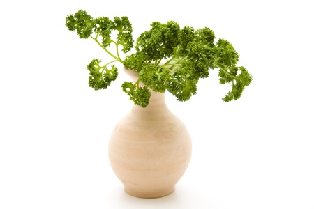 Parsley in vaseの写真素材