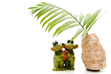 Frog pair of under plant leafの写真素材