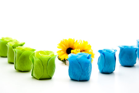  Soap rose with sunflowerの写真素材