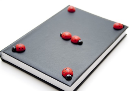 Notebook with wooden beetleの写真素材