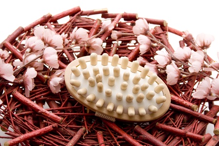 Massage brush with flower branchの写真素材