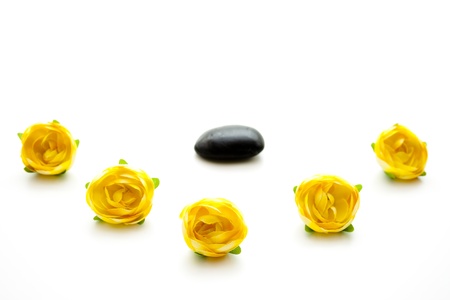 Yellow roses with stoneの写真素材