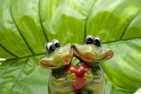 Frog pair with heartの写真素材