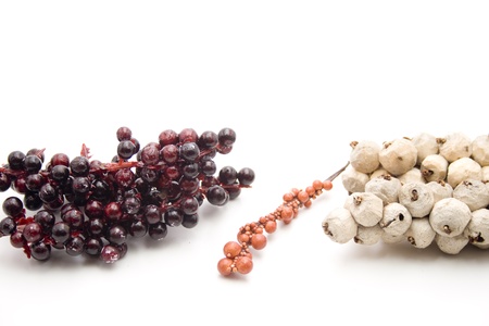 Berry branchの写真素材