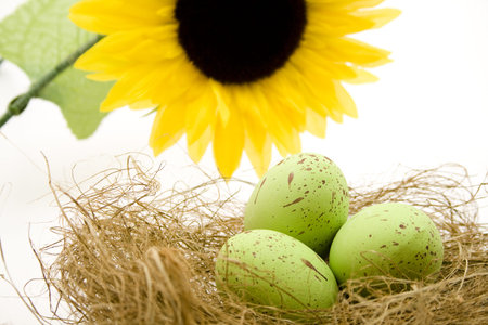 Sunflower with hay and Easter egg