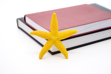 Notebook with sea starの写真素材