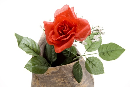 Red rose in vaseの写真素材