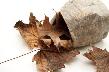 Stone vase with autumn foliageの写真素材