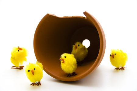 Flowerpot with Easter chick