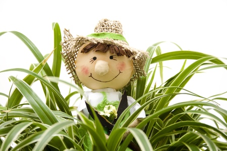 Green plants with gardenerの写真素材