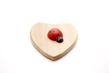 Wooden heart with wooden beetleの写真素材