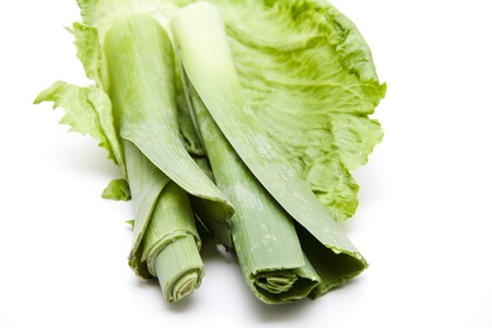 Leek stick with salad leafの写真素材