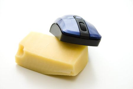 Cheese with computer mouse