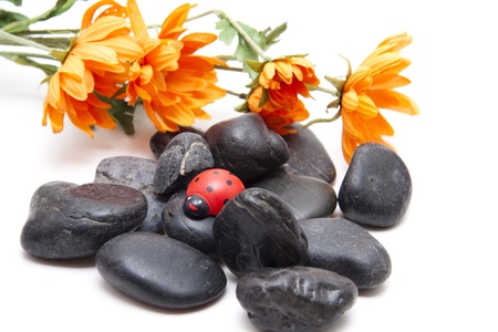 Stones with flowersの写真素材