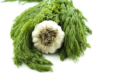 Garlic with dillの写真素材