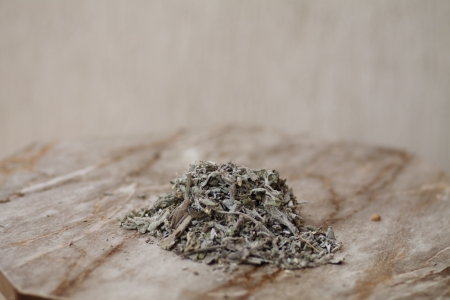 Dry sageの写真素材