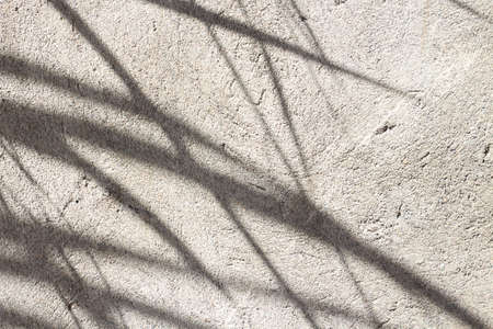 Gray concrete background with shadows formed by palm tree leavesの写真素材