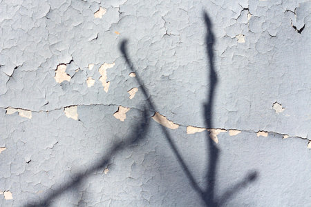 Gray blue cracked vintage background with shadows formed by tree branches. Overlay effect for photo,...