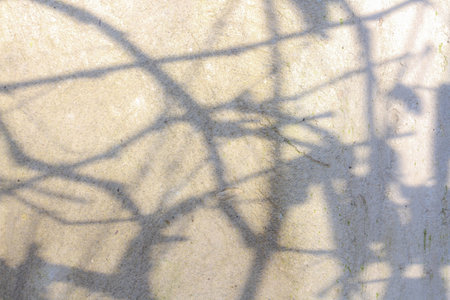 Mystical Shadows Silhouette Horizontal backgroundの写真素材