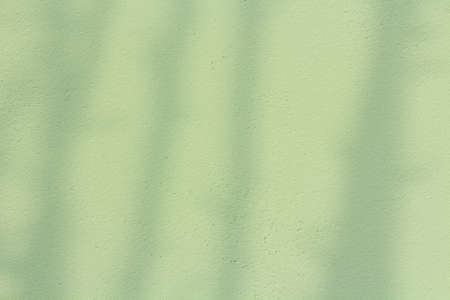 Light green horizontal background with shadow silhouette.の写真素材