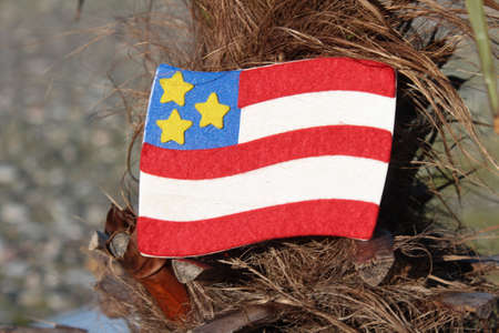 USA small symbolic flag on a natural background. Independence day symbol. 4th July, Strong powerful nation.の写真素材