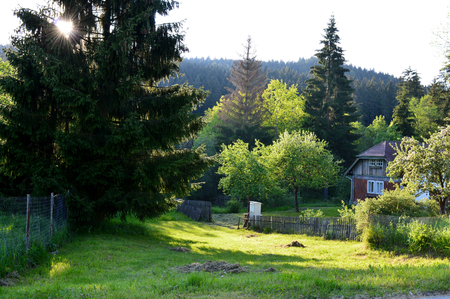 old cottage surrounded by trees in the summer morningの写真素材
