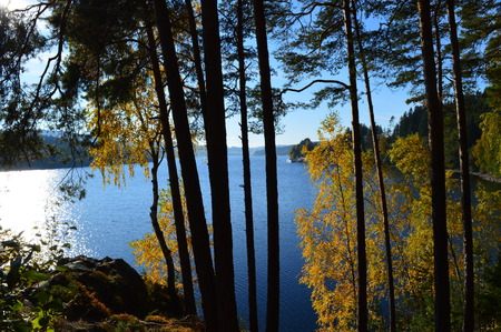 Autumn trees near beautiful blue lakeの写真素材