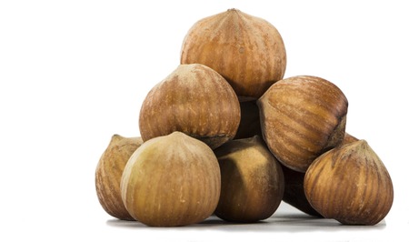 hazelnuts closeup on a light backgroundの写真素材