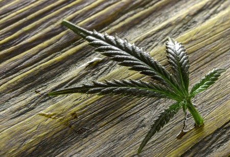 cannabis leaves on old wooden backgroundの写真素材
