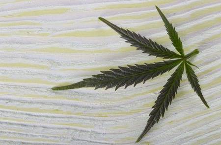 cannabis leaves on old wooden backgroundの写真素材