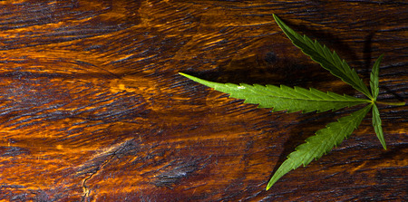cannabis leaves on old wooden background close upの写真素材