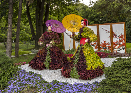 A neat colored well maintained garden in Japanese styleの写真素材