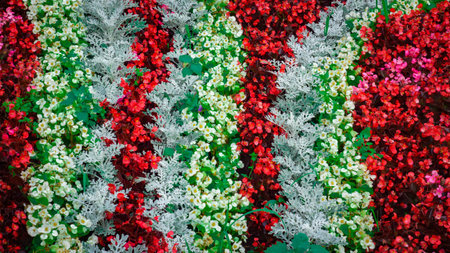 Flowerbed Japanese style, using annual multicolored flowers.の写真素材