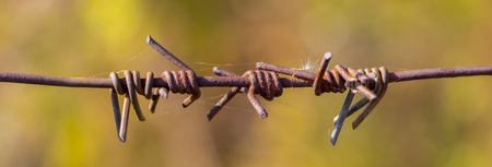 fragment of an old rusty barbed wire on a brown backgroundの写真素材