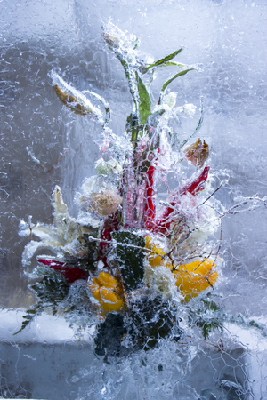 Ice sculpture of red flowers in a frozen block of iceの写真素材