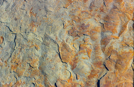 Stone background texture background natural stone close up