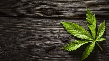 A hemp sheet on a black wooden background close upの写真素材