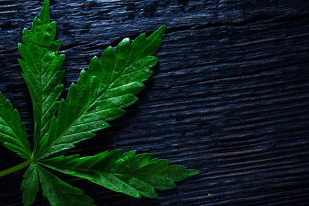 A hemp sheet on a black wooden background close up