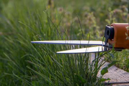 Cutting lawn with scissors in hard-to-reach places, gardener professional.