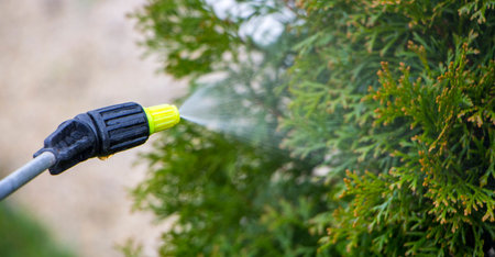 Gardener sprinkles young plum tree from pests and diseases with bottle sprayer. He holds sprayer in...