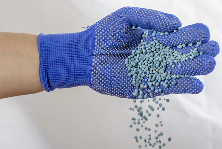 Bun of mineral fertilizer, in the hand on which is put on a mitt.の写真素材