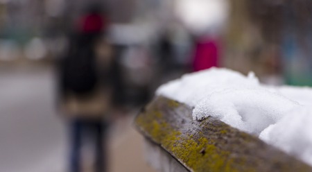Snow melts on tree branches, city street, selective focusの写真素材