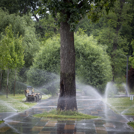 automatic sprinkler system watering the lawn on a background of green grass, close-upの写真素材