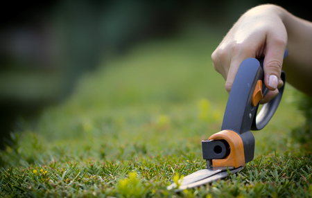Cutting lawn with scissors in hard-to-reach places, gardener professionalの写真素材