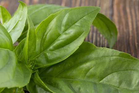 Fresh green basil leaf on an old wooden backgroundの写真素材