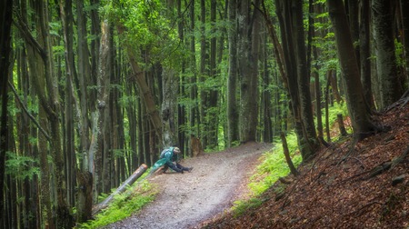A lonely man sits in a dark autumn forest on a bright law.の写真素材