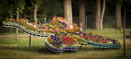 Beautiful flower arrangement in the form of a multicolored butterfly made of pink, yellow, purple chrysanthemums. Flower decor for park and garden. Decorative composition. Landscapingの写真素材