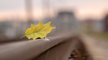 Yellow maple leaf on old rusty rails. Concept of loneliness and the onset of autumn.
