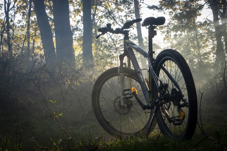 Mountain bike in the forest is sundered by a ray close upの写真素材